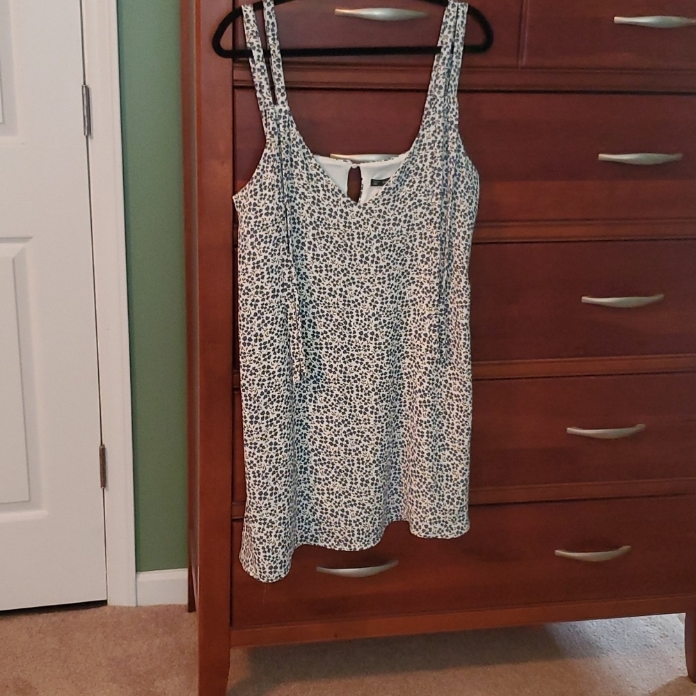 ZARA flowered dress. Lined. Size Large.
